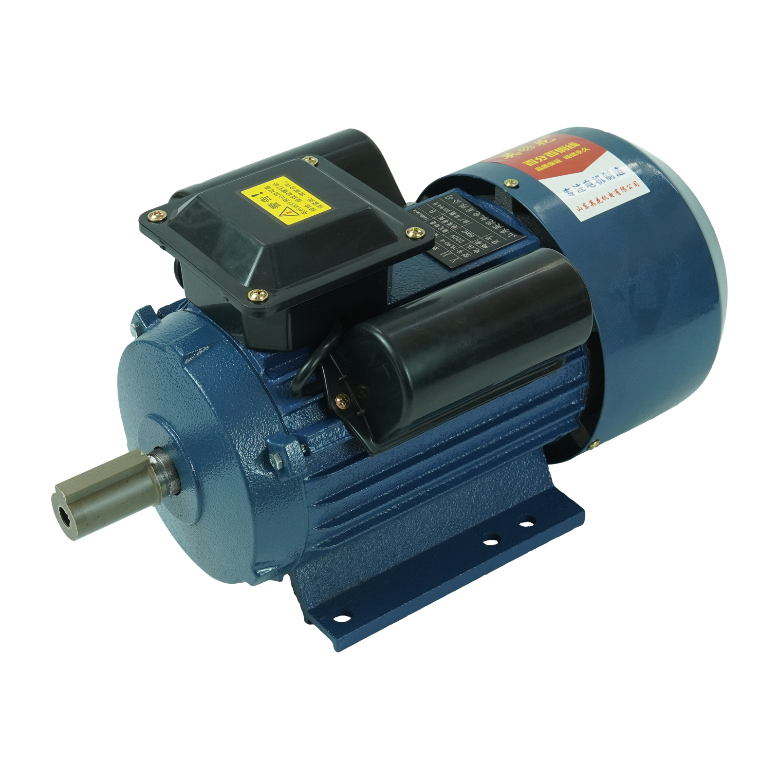 YL单相异步电动机